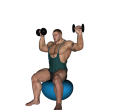 Shoulder Press - Fitness Ball Dublin
